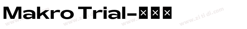 Makro Trial字体转换